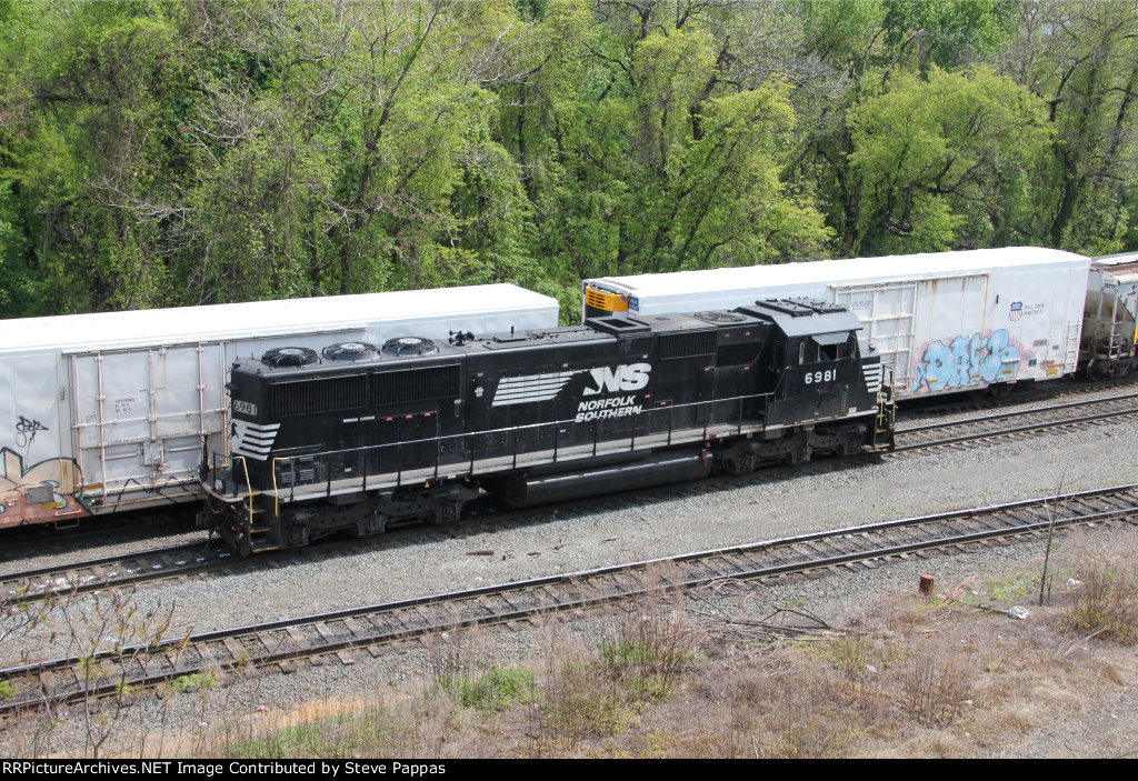 NS 6981